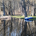 Peaceful pond by meemakelley