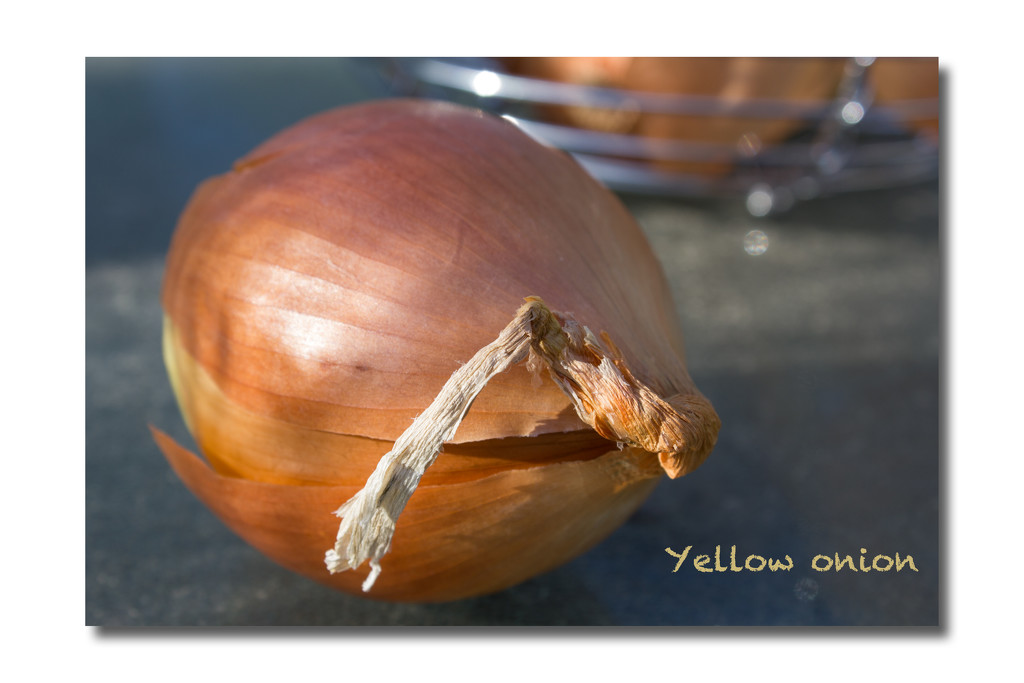 Yellow Onion by randystreat