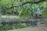 21st Apr 2015 - Charles Towne Landing State Historic Site