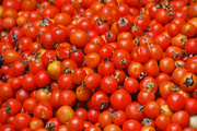 8th Apr 2015 - Cherry Tomatoes