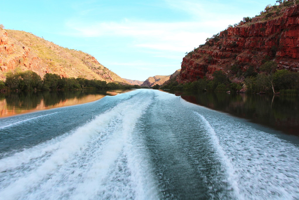 Day 11 - Ord River 6 by terryliv