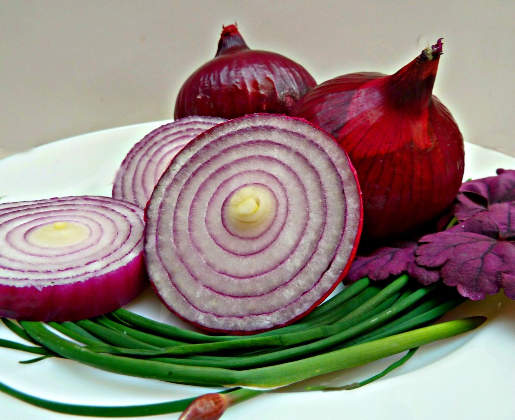Red Onions  by wendyfrost