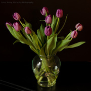 19th Apr 2015 - Tulips from friends