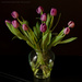 Tulips from friends by mccarth1
