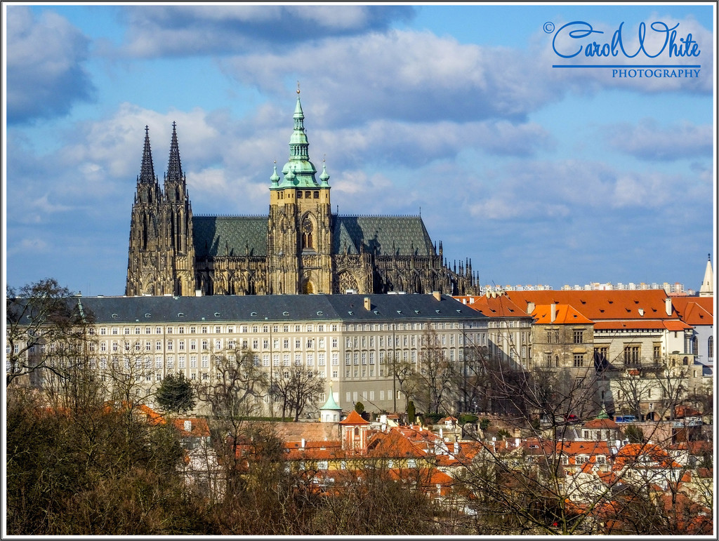 Prague Castle and St.Vitus' Cathedral by carolmw