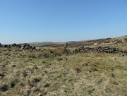 18th Apr 2015 - A moorland walk