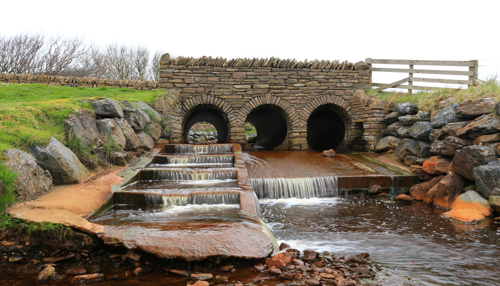 Fish Ladder by lifeat60degrees