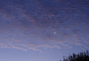 21st Apr 2015 - The Evening Sky