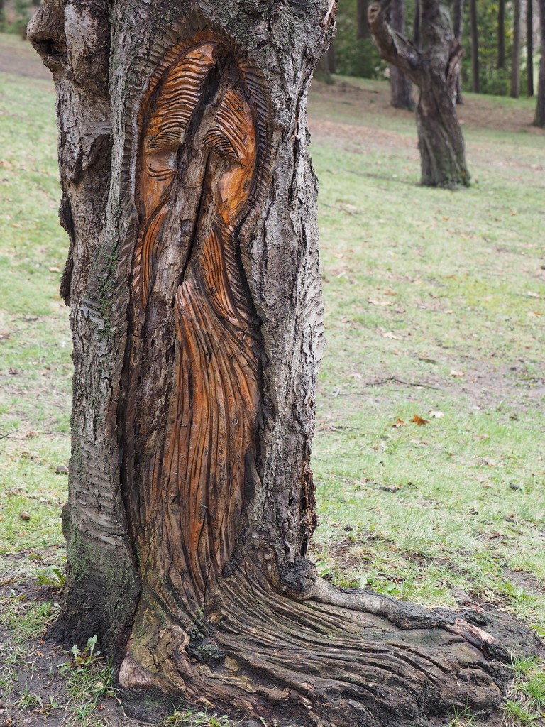Tree Man by selkie
