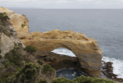 21st Apr 2015 - The Arch - on the Great Ocean Road