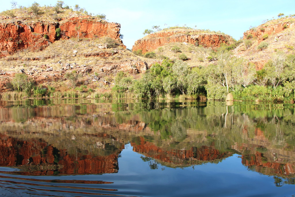 Day 11 - Ord River 7 by terryliv