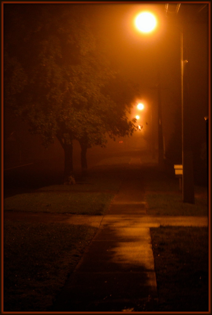 Misty Morning by nickspicsnz