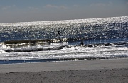 8th Nov 2010 - Surf Scene