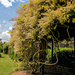 Fairchild Gardens by danette