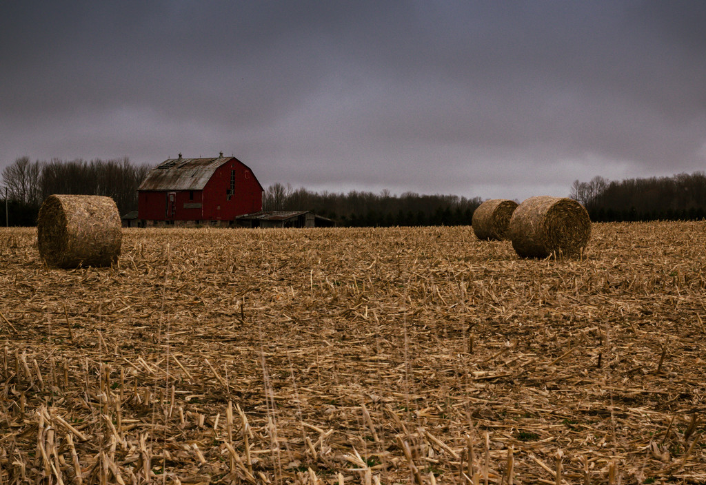 Barn and Bales by tracymeurs