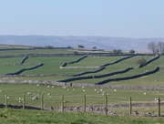 22nd Apr 2015 - Dry stone wall