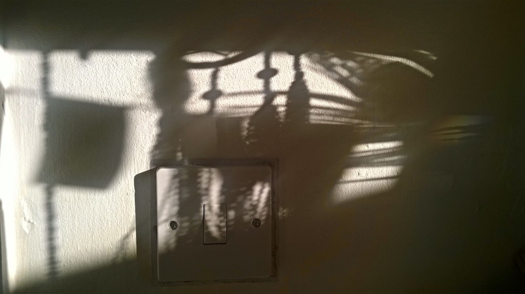 Morning shadows by jokristina