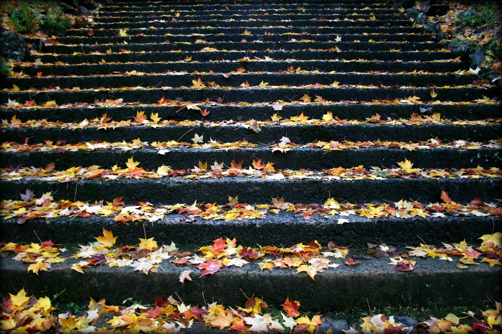 Autumn staircase by cruiser