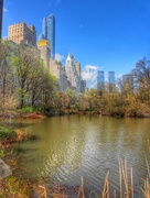 22nd Apr 2015 - Central Park