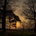 Evening Light  by shepherdmanswife