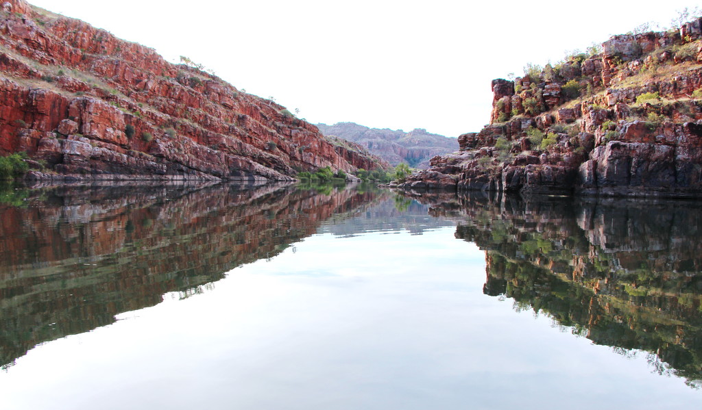 Day 11 - Ord River 8 by terryliv