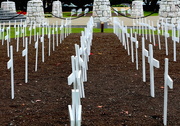 20th Apr 2015 - Rows of remembrance