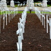 Rows of remembrance by kiwinanna