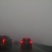 Fog by steelcityfox