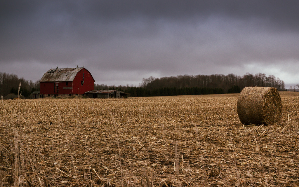 Barn and Bales 2 by tracymeurs