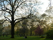 22nd Apr 2015 - Sitting in the park