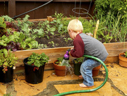 23rd Apr 2015 - ... How does your garden grow? ...