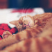 catnap :) by pocketmouse
