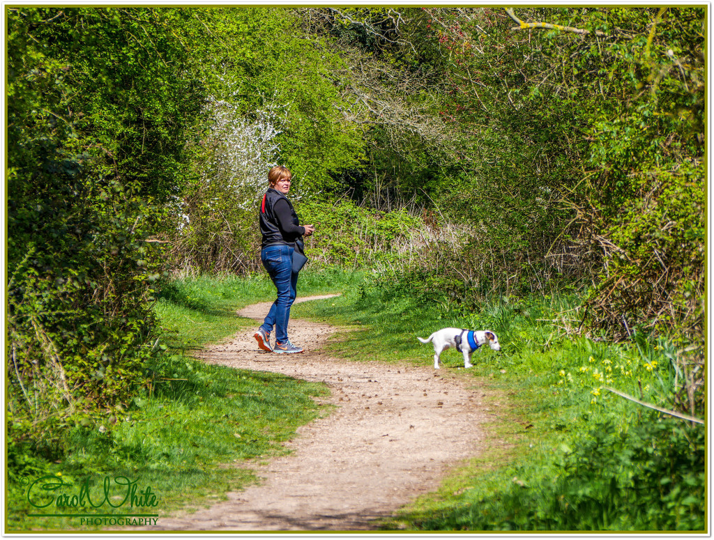 Woodland Walk (Rosie and Daisy) by carolmw