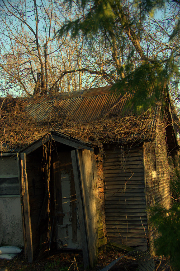 The Shack by jayberg