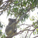 Those feet! by koalagardens