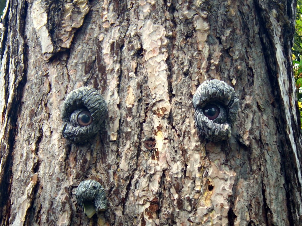 The trees have eyes by bulldog