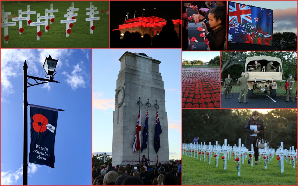 New Zealand ANZAC Day by dide