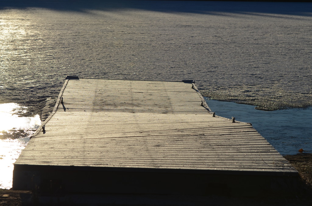 Day 294 - April Dock Shot by ravenshoe