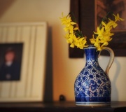 25th Apr 2015 - Breakfast flowers