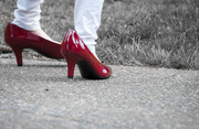 25th Apr 2015 - Red Shoes