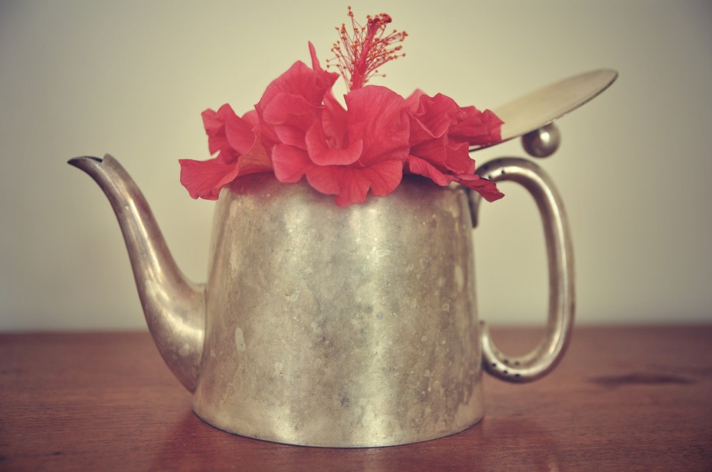Tea pot and flower  by brigette