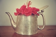 26th Apr 2015 - Tea pot and flower 