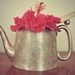 Tea pot and flower  by brigette