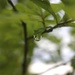 Raindrop by thewatersphotos
