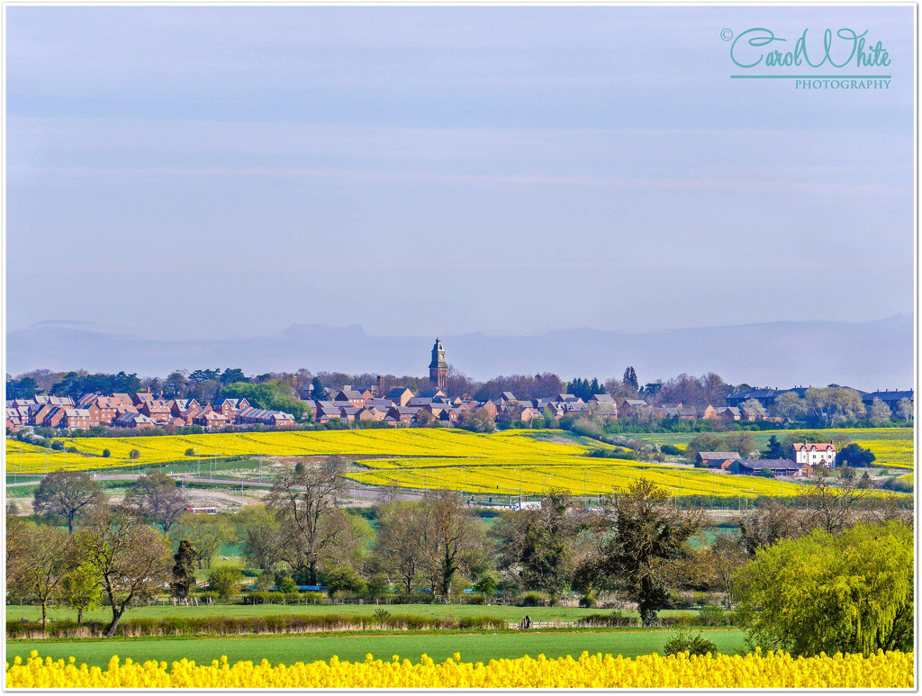 Across The Fields Towards Northampton by carolmw