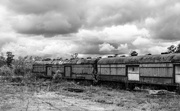 19th Apr 2015 - Old Train Cars