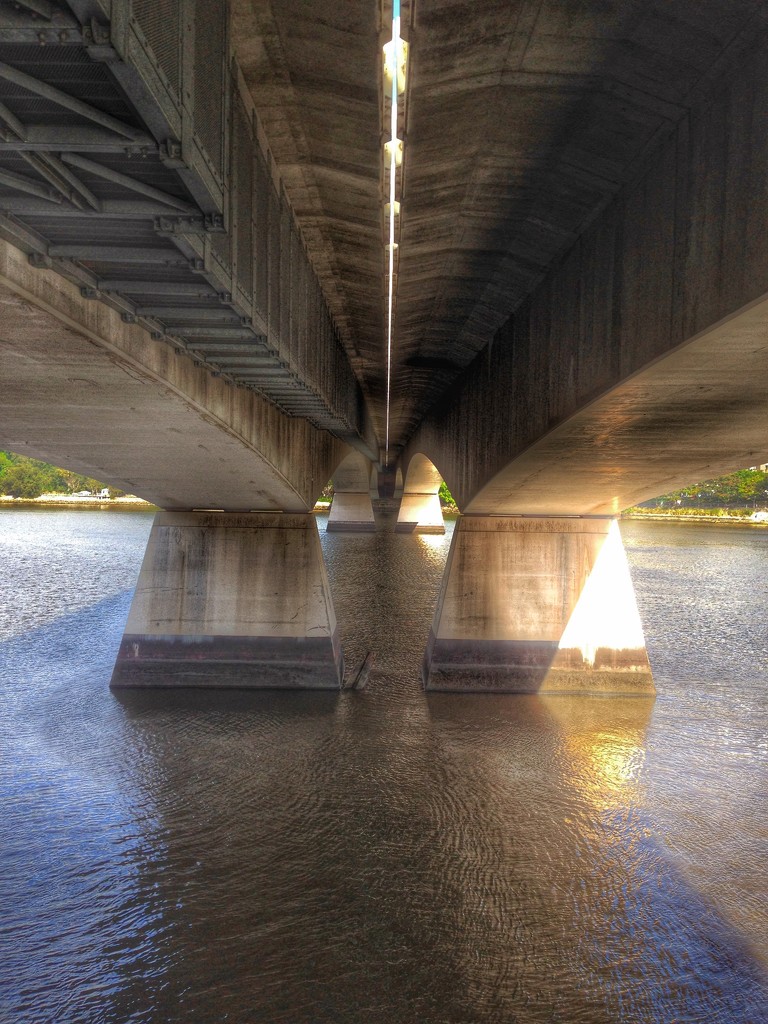 Bridge by corymbia