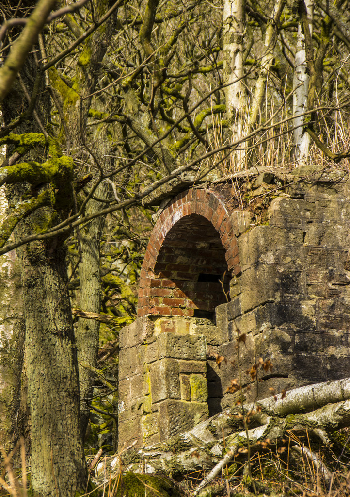The old ice house by shepherdman