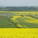 "England's yellow and pleasant land" by quietpurplehaze