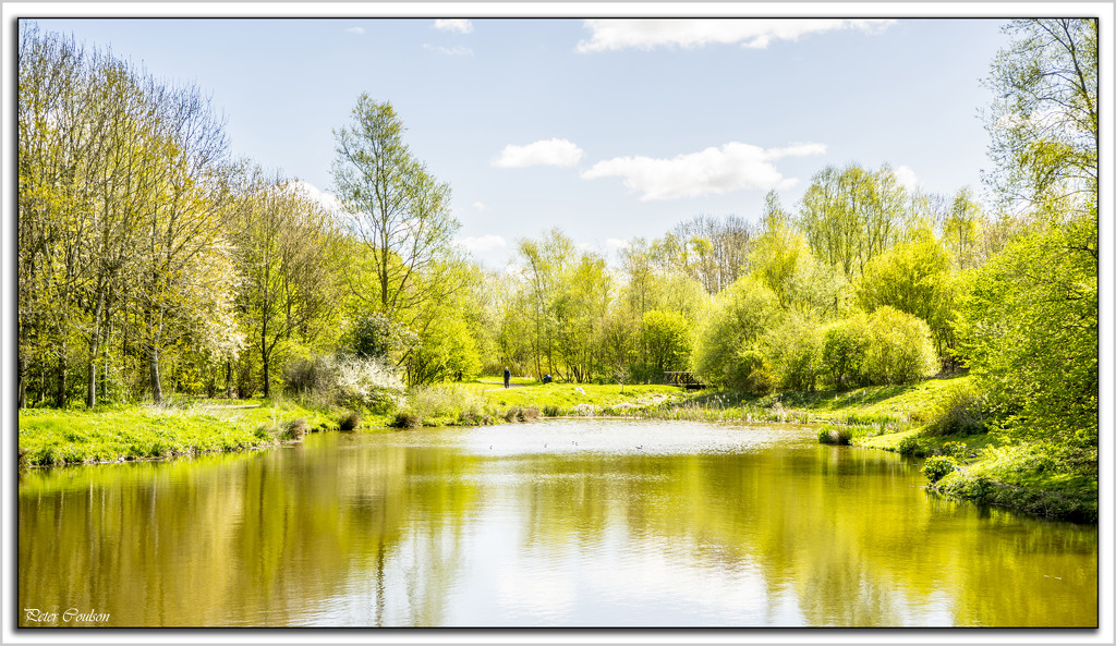 Local Pond by pcoulson